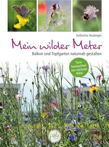 Produktbild: Mein wilder Meter: Balkon und Topfgarten naturnah gestalten - Tiere beobachten aus nächster Nähe