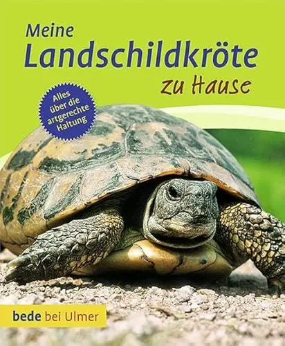 Produktbild: Meine Landschildkröte zu Hause