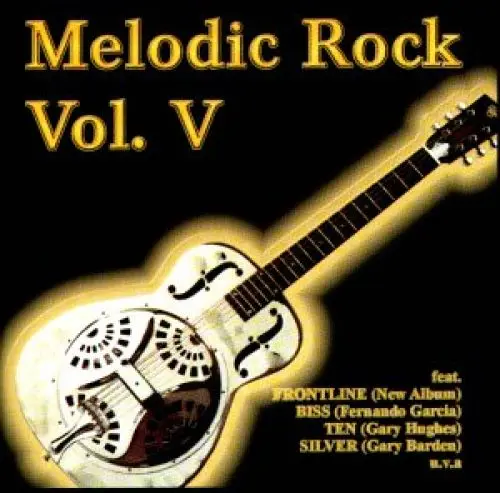 Produktbild: Melodic Rock Vol.5