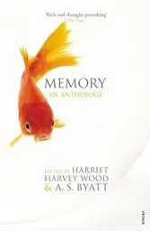 Produktbild: Memory