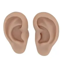 Produktbild: Menschliches Ohr-Modell, 1 Paar Weiches Silikon-Simulations-Ohr-Modell, Flexibles Künstliches Ohr, Realistische Körperteile für Piercing-Übungen, Ohrringe, Schmuck-Display, Lehrmittel(3#)