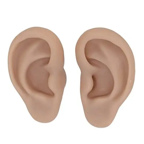 Produktbild: Menschliches Ohr-Modell, 1 Paar Weiches Silikon-Simulations-Ohr-Modell, Flexibles Künstliches Ohr, Realistische Körperteile für Piercing-Übungen, Ohrringe, Schmuck-Display, Lehrmittel(3#)