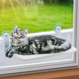 Produktbild: MEWOOFUN Katzen Hängematte Fensterplätze für Katzen 54x30cm Klappbar Katzenbett Fenster mit Stabil Saugnäpfe bis zu 18kg (Weiß, Mittel)