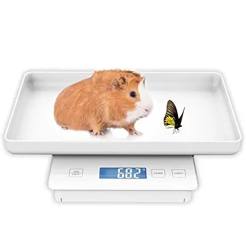Produktbild: MINDPET-MED 11lbs/0.1g Haustierwaage fur Kleintiere, Meerschweinchenwaage,hohe Prazision 0.003oz,geeinet fuiralleneugeborenen Haustiere, Katzchen, Schildkroten Weiß