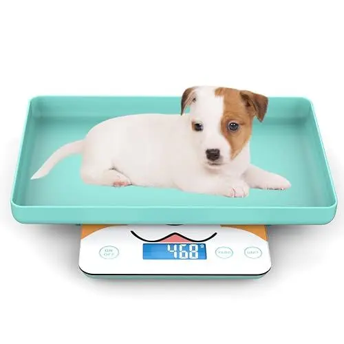 Produktbild: MINDPET-MED Digitale Mini-Haustierwaage für Neugeborene und Kleintiere, Präzisions-Grammwaage zum Wiegen, Genauigkeit von 0,03 oz, Kapazität von 33 lbs, fünf Einheiten umschaltbar, blau