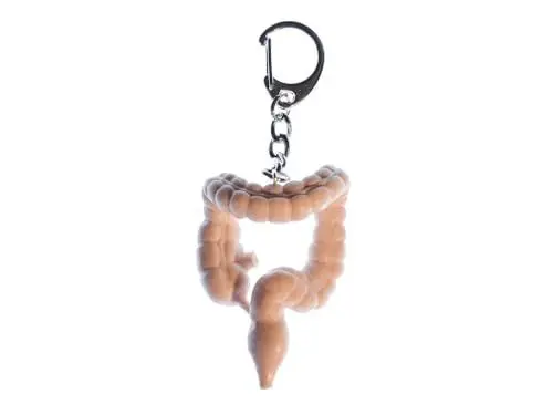 Produktbild: Miniblings Dickdarm Darm Organ Schlüsselanhänger - Handmade Modeschmuck I Anhänger Schlüsselring Schlüsselband Keyring - Dickdarm Darm Organ