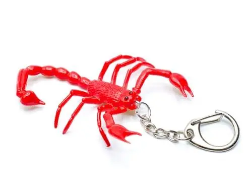 Produktbild: Miniblings Skorpion Schlüsselanhänger Sternzeichen Horoskop Halloween rot - Handmade Modeschmuck I Anhänger Schlüsselring Schlüsselband Keyring