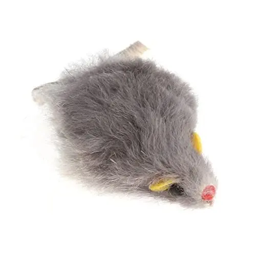 Produktbild: minkissy 2St katzenspielzeug Spielzeug für Katzen für Katzen zubehör Spielzeug für Kätzchen cat Spielzeug Catnip Spielzeuge Spielzeug für Haustiere Katze Teaser Mehrfarbig Katze necken