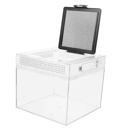 Produktbild: minkissy Kasten Transparente Reptilienbox Tarantel Reptilienkäfig Aus Acryl Transparenter Tierlebensraumkäfig Springschwänze Asseln Cricket-Keeper Miniatur Aggreko Springende Spinne