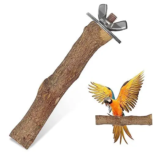 Produktbild: minkissy Vogelkrallenschärfer Papageien-Trainingsstange Vogelsitzstangen für Papageien aus Holz Vogeläste Holz hängende Sitzstange Vogelstangen für Conures Kiwi Spielzeug Natürliche Vögel Edelstahl