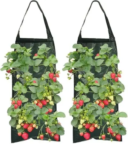 Produktbild: MisFun 2 Stück Pflanzsack Hängend, Erdbeere Pflanzsack mit 8 Löchern, Pflanzbeutel mit Henkeln, Pflanztaschen Hängend Draußen, Pflanzsack, Pflanztasche, für Erdbeere, Kräuter, Gemüse