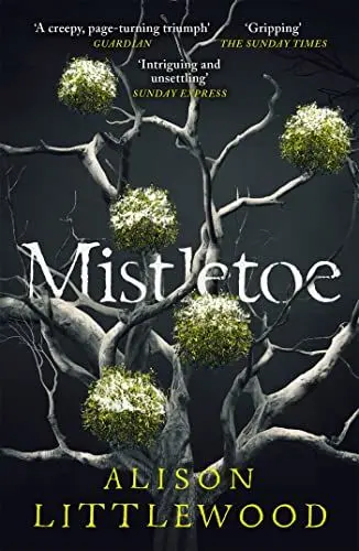 Produktbild: Mistletoe: 'The perfect read for frosty nights' HEAT