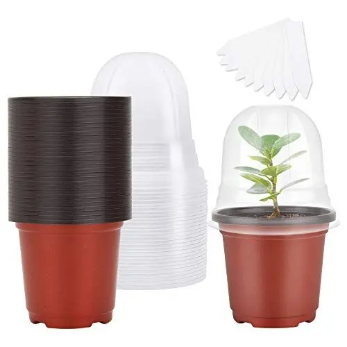 Produktbild: MIXC Anzuchttöpfe Pflanzentopf 30 Stück 10cm Blumentopf Plastik mit Feuchtigkeitskuppel, Rund Pflanztöpfe Kunststoff Saattöpfe übertöpfe mit 10 Steckettiketten