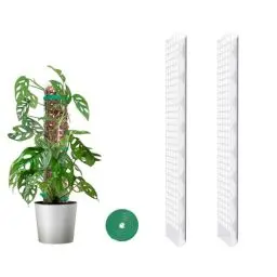 Produktbild: MIXC Moosstab Rankhilfe Zimmerpflanzen 2 Stück 61cm Pflanzstab Plastik Pflanzenstütze für Monstera Kletterpflanzen mit 1.5m Pflanzenbänder Klett