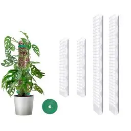 Produktbild: MIXC Moosstab Rankhilfe Zimmerpflanzen 2 Stück 61cm und 2 Stück 38cm Pflanzstab Plastik Pflanzenstütze für Monstera Kletterpflanzen mit 1.5m Pflanzenbänder Klett