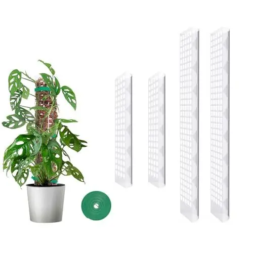 Produktbild: MIXC Moosstab Rankhilfe Zimmerpflanzen 2 Stück 61cm und 2 Stück 38cm Pflanzstab Plastik Pflanzenstütze für Monstera Kletterpflanzen mit 1.5m Pflanzenbänder Klett