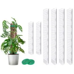 Produktbild: MIXC Moosstab Rankhilfe Zimmerpflanzen 4 Stück 61cm und 2 Stück 38cm Pflanzstab Plastik Pflanzenstütze mit 3m Pflanzenbänder Klett für Monstera Kletterpflanzen