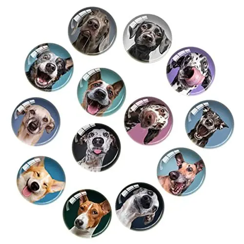 Produktbild: Mobestech 20 Stück Hund Kühlschrank Tier Menü Lustiger Magnet Schrank Cartoon Büro Niedlich Whiteboard Entzückendes Foto Für Nachricht Zubehör Haustier Aufkleber Kühlschrank Dekorative
