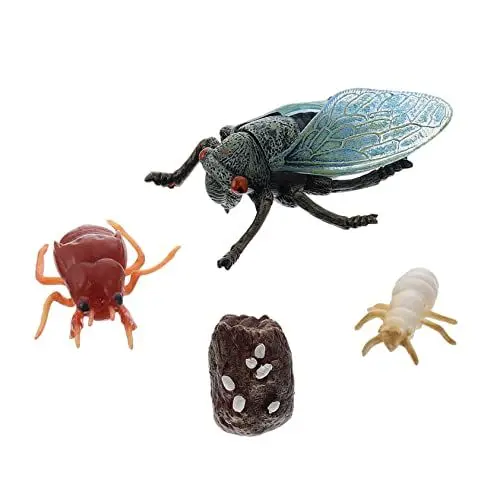 Produktbild: MOLUCKFU 1 Set/4 Stück Simulation Zikaden Wachstumszyklus Ornamente Schaumodelle Für Kinder
