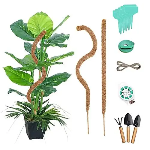 Produktbild: Moosstange für Monstera, 2 Stück, biegbare Pflanzenstützen mit Gartengeräten für Käsepflanzen, handgefertigter Kokosfaser-Moosstab für Kletterpflanzen (2 Stück 114 cm)