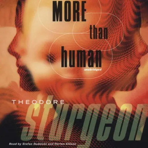 Produktbild: More Than Human