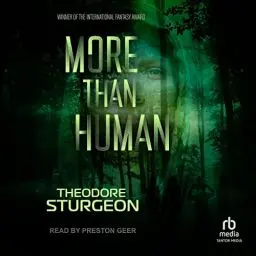 Produktbild: More than Human