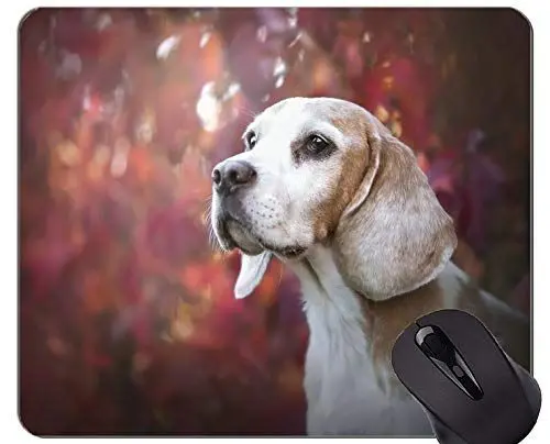 Produktbild: YENDOSTEEN Mousemat Mauspads, Hund - genähte Kanten
