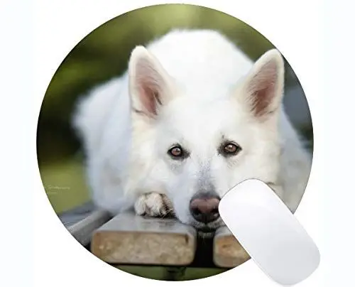 Produktbild: Mousemat Runde Mauspads, Berger Blanc Suisse Tierhund - Genähte Kanten