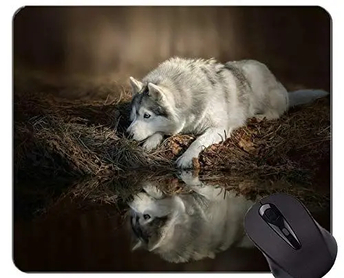 Produktbild: Mousemat-Mausunterlagen, Haustierreflexionshundewolfhund - genähte Ränder