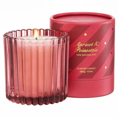 Produktbild: M&SENSE Duftkerzen im Glas Aprikosen-Poinsettie ungiftige Kerzen 260g natürliches Sojawachs sauberes Brennen bis zu 60 Std. Weihnachtsgeschenke für Frauen ApricotPoinsettia