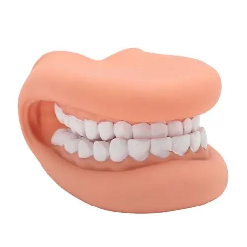 Produktbild: Mundhandpuppe mit Zunge, Silikon Mundpuppe, Mundpuppe mit Zunge 28 Zähne Sprachtherapie Demonstrationszahnmodell aus Silikon für den Kinder Unterricht und Studium