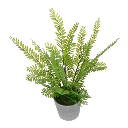 Produktbild: MUSISALY 1 Stück Künstliche Farnpflanze Bonsai Simulation Einer Mini-farnpflanze Dekoration Wohnzimmer Pflegeleichte Kunstpflanze