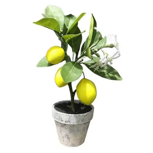 Produktbild: MUSISALY künstliche Topfpflanze Kunstpflanzen für künstliches para kunstplflanze Artificial Plant Künstlicher Zitronenbaum im Topf für das Büro eingemachter Zitronenbaum Zellstoff Yellow