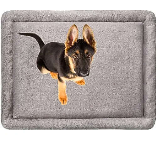 Produktbild: MyBestBuddy Hundekissen Komfort grau 120x80 cm XXL, allergikerfreundlich (100% Polyester), rutschfest - 40°C waschbar mit flauschigem Stoffbezug - Hundematte BZW. Hundebett für sehr große Hunde