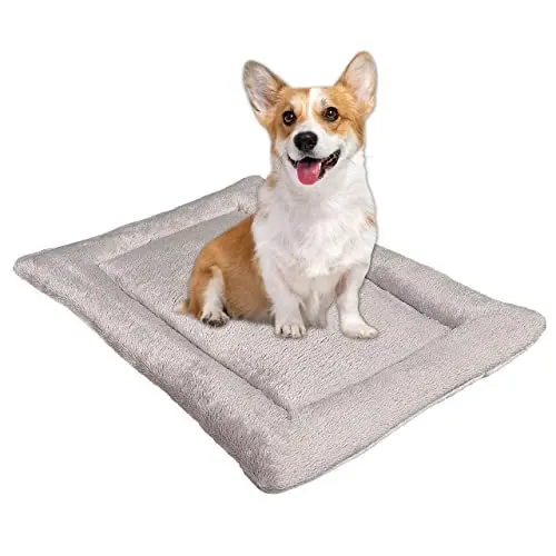 Produktbild: MyBestBuddy Hundekissen Komfort grau 70x50 cm M, allergikerfreundlich (100% Polyester), rutschfest - 40°C waschbar mit flauschigem Stoffbezug - Hundematte BZW. Hundebett für mittelgroße Hunde