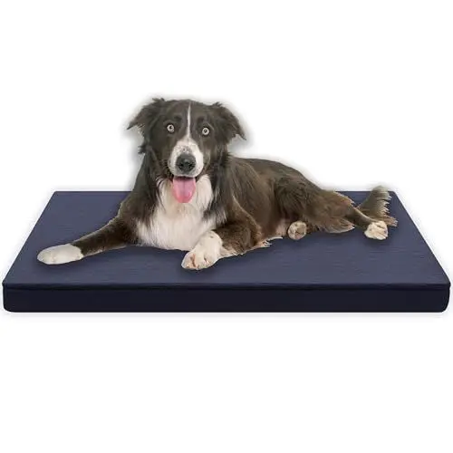 Produktbild: MyBestBuddy Hundekissen Premium orthopädisch mit 3 cm Vollschaum-Kern grau 120x80 cm XXL, Hundematte mit Stoffbezug, 40°C waschbar, allergikerfreundlich - Hundebett für sehr große Hunde, 120 x 80 cm