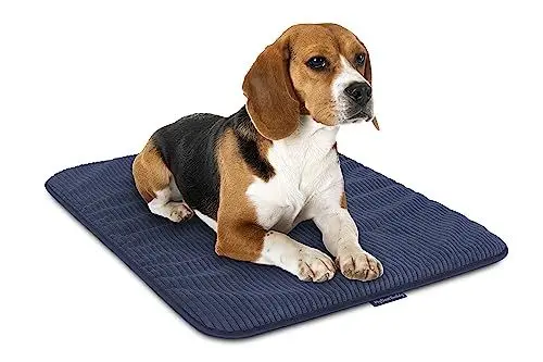Produktbild: MyBestBuddy Hundematte grau Basic 70x45 cm M mit weichem Stoff extra für Haustiere - 40°C waschbar, allergikerfreundlich (100% Polyester) - Hundekissen BZW. Hundebett für mittlere Hunde, 70 x 45 cm