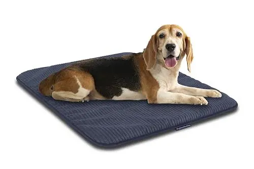 Produktbild: MyBestBuddy Hundematte grau Basic 90x70 cm L mit weichem Stoff extra für Haustiere - 40°C waschbar, allergikerfreundlich (100% Polyester) - Hundekissen BZW. Hundebett für große Hunde, 90 x 70 cm