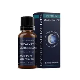 Produktbild: Mystic Moments | Eucalyptus staigeriana ätherisches Öl 10ml - reines & natürliches Öl für Diffusoren, Aromatherapie und Massage -Mischungen veganer GVO -frei