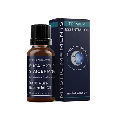 Produktbild: Mystic Moments | Eucalyptus staigeriana ätherisches Öl 10ml - reines & natürliches Öl für Diffusoren, Aromatherapie und Massage -Mischungen veganer GVO -frei