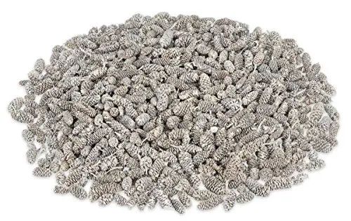 Produktbild: NaDeco Erlen-Zapfen in Weiß, 250g Alnus glutinosa Erlenzapfen Black Alder Cones Dekozapfen Tannenzapfen Tannen Zapfen Naturzapfen