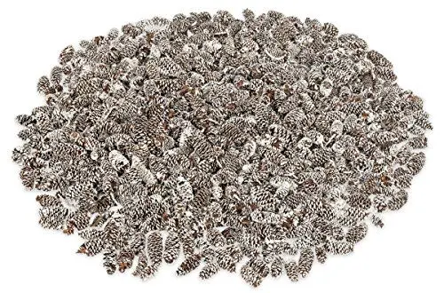 Produktbild: NaDeco Erlen-Zapfen in Weiß, getupft, 250g | Erlenzapfen | weiße Dekozapfen | weiße Tannenzapfen | Tannen-Zapfen | weiße Naturzapfen