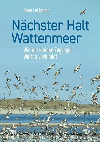 Produktbild: Nächster Halt Wattenmeer: Wie ein kleiner Zugvogel Welten verbindet