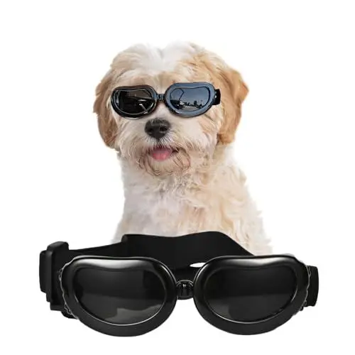 Produktbild: NAMSAN Sonnenbrillen für Hunde UV Schutzbrille Wasserdichter Einstellbar Hundebrille für Kleine Hunde/Katzen -Schwarz