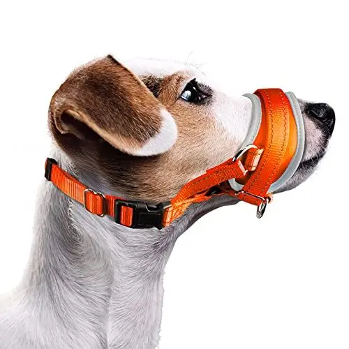 Produktbild: Nasjac Maulkorb für Hunde, Verstellbare Weicher Nylon maulkorb um Beißen zu verhindern Anti-Bellen Stoppen Sie das Kauen Essen Atmungsaktiv Hundemundschutz für kleine Hunde