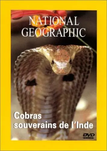 Produktbild: National Geographic : Cobras, souverains de l'Inde