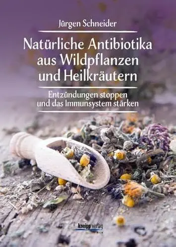 Produktbild: Natürliche Antibiotika aus Wildpflanzen und Heilkräutern: Entzündungen stoppen und das Immunsytsem stärken