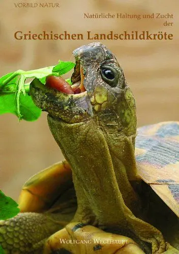 Produktbild: Natürliche Haltung und Zucht der Griechischen Landschildkröte