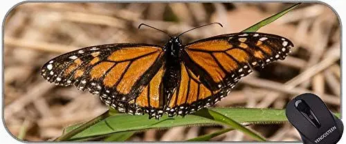 Produktbild: YENDOSTEEN Natürliche Natürliche Gummi-Mauspads, Schmetterling Insektenflügel Wildlife Bug Helles kleines Mauspad mit genähten Kanten