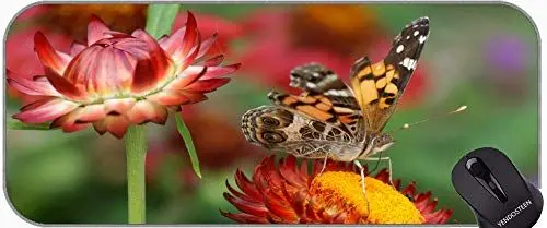 Produktbild: YENDOSTEEN Natürliche Natürliche Gummi-Mauspads, Schmetterlings-Swallowtail-Makro-Insekt Naturflügel Mauspad mit genähten Kanten